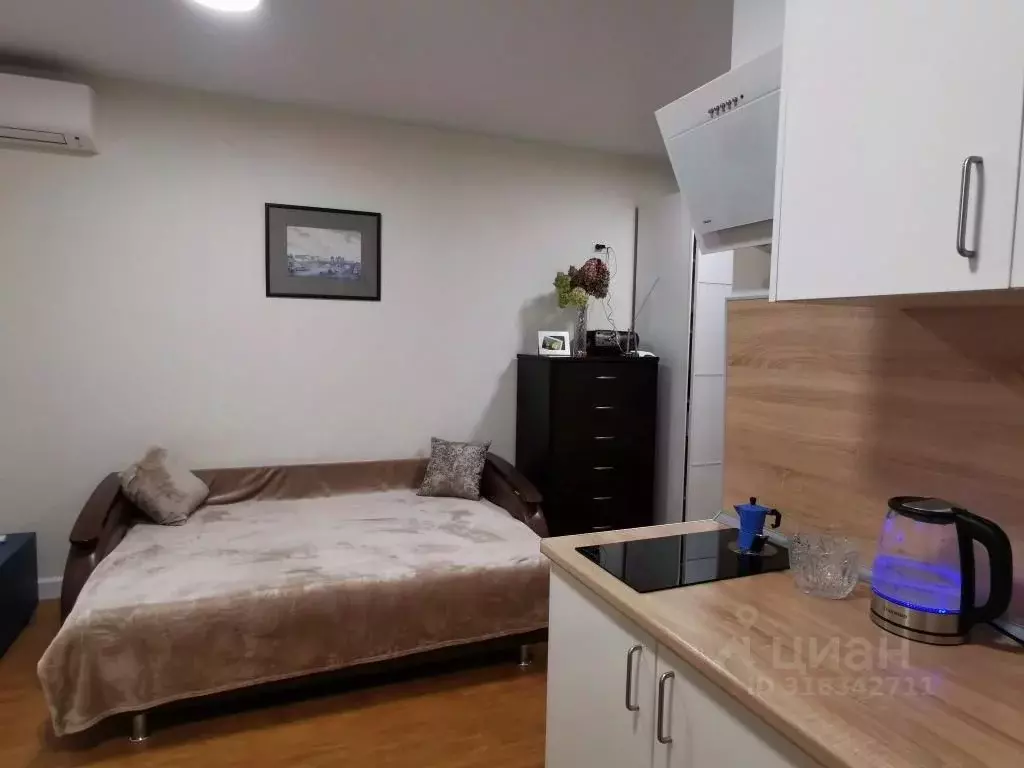 1-к кв. Нижегородская область, Нижний Новгород д. Афонино, ул. ... - Фото 1