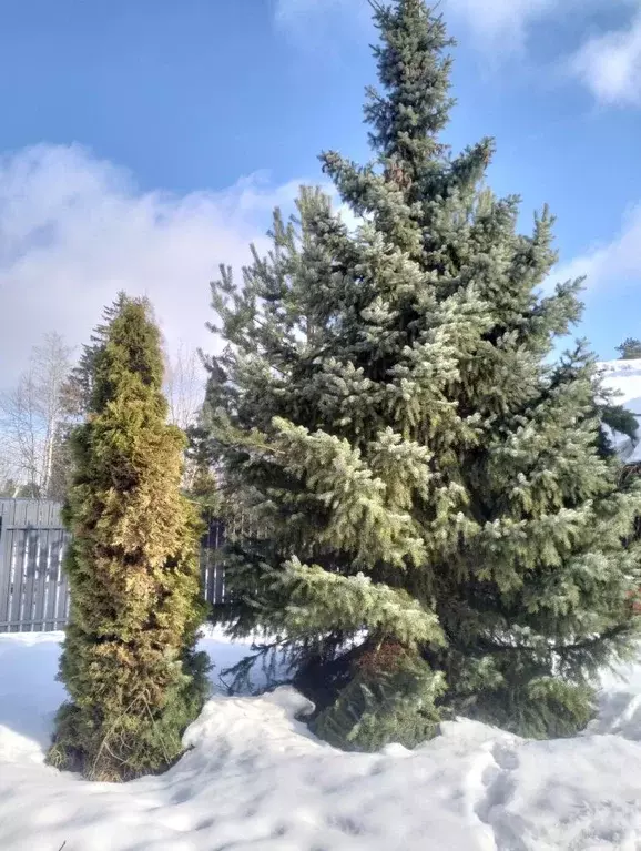 Коттедж в Ленинградская область, Гатчинский муниципальный округ, ... - Фото 2