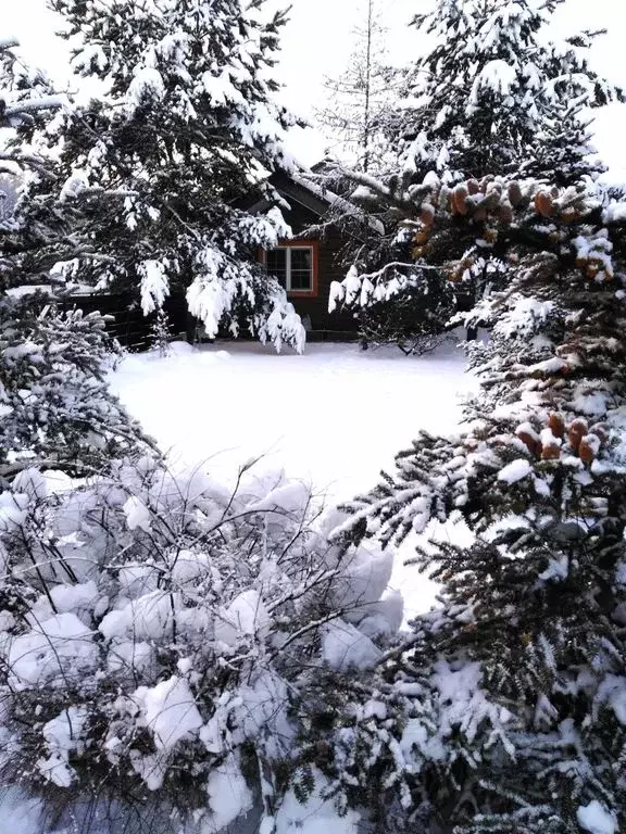 Дом в Московская область, Раменский муниципальный округ, пос. ... - Фото 1