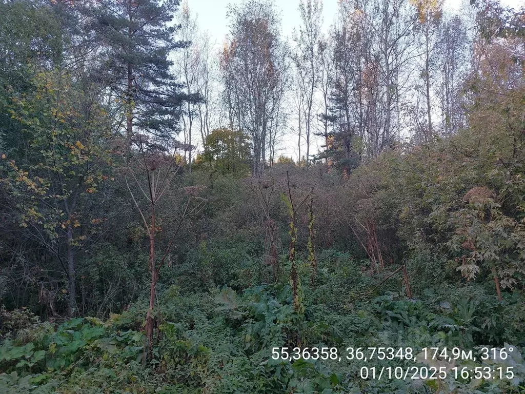 Участок в Московская область, Наро-Фоминск  (30.0 сот.) - Фото 1