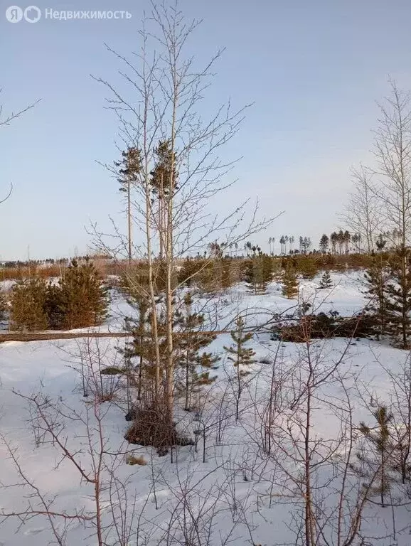 Участок в Читинский район, село Смоленка (7.68 м) - Фото 2