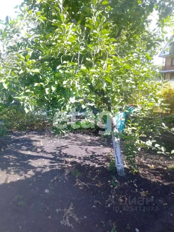 Дом в Тюменская область, Тюмень ул. Николая Чаплина (96 м) - Фото 2