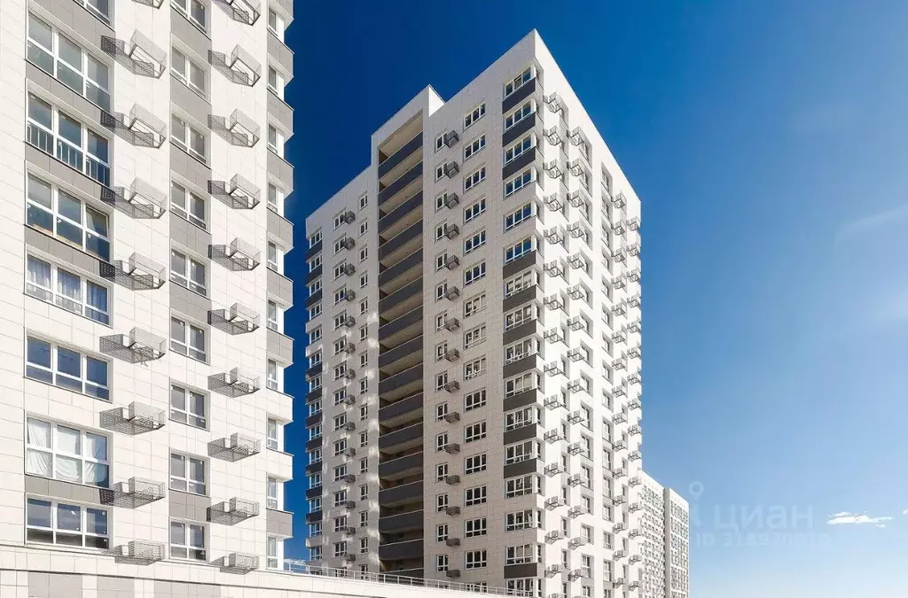Студия Московская область, Пушкино Ярославское ш., 194к1 (28.2 м) - Фото 0