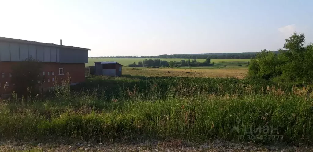 участок в татарстан, кукмор кукморский район, ул. ленина (20.0 сот.) - Фото 0