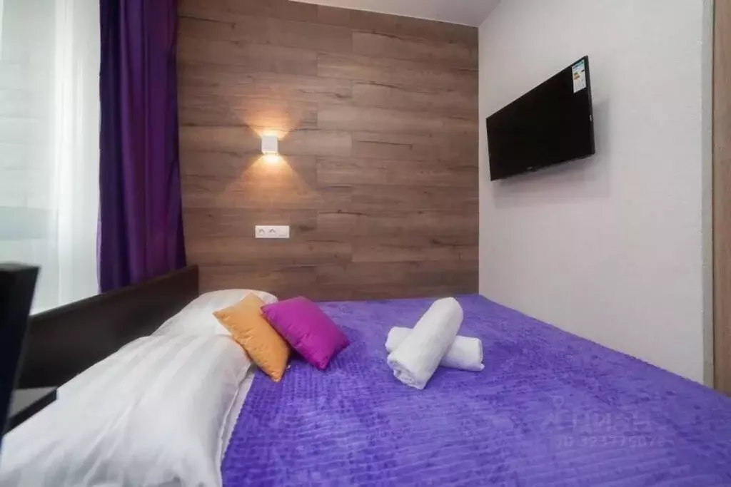 Студия Москва Духовской пер., 19с2 (18.0 м) - Фото 2