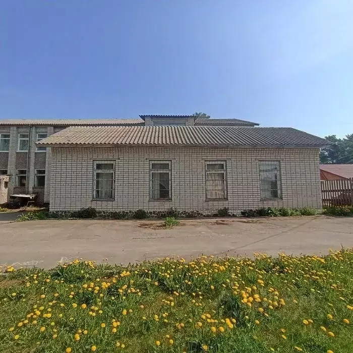 Помещение свободного назначения в Карелия, Олонецкий район, с. Видлица ... - Фото 1