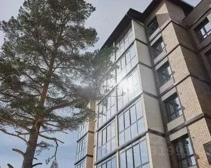 3-к кв. Иркутская область, Иркутский муниципальный округ, пос. ... - Фото 0