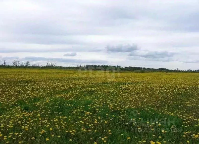 Участок в Адыгея, Майкоп городской округ, пос. Северный ул. Новая ... - Фото 0