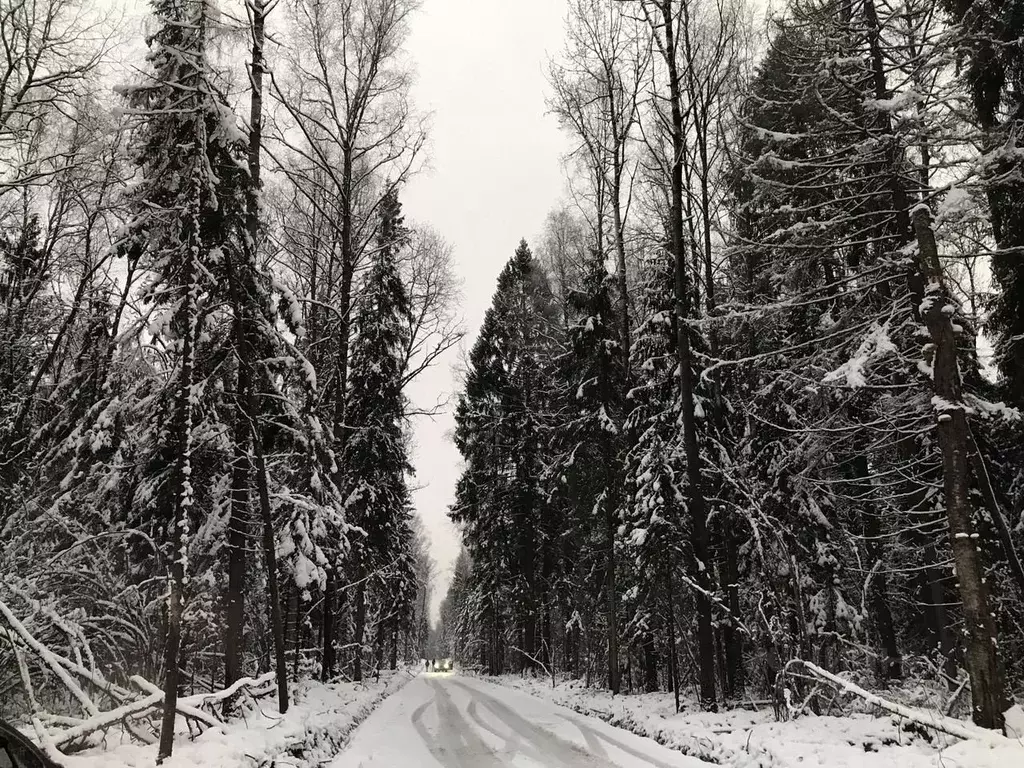 Участок в Московская область, Лосино-Петровский городской округ, ... - Фото 1