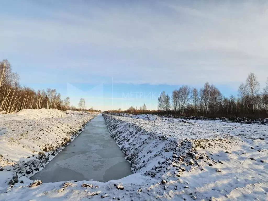 Участок в Тюменская область, Нижнетавдинский муниципальный округ, ... - Фото 2
