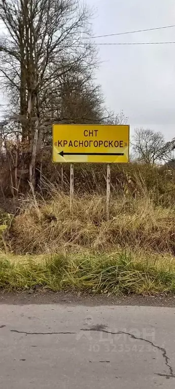 Участок в Ленинградская область, Ломоносовский район, Виллозское ... - Фото 1