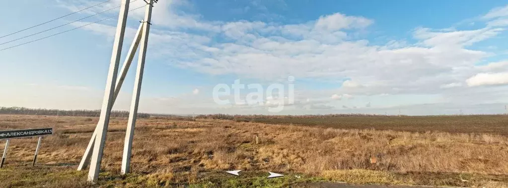 Участок в Ростовская область, Азовский район, с. Александровка  (6.0 ... - Фото 0