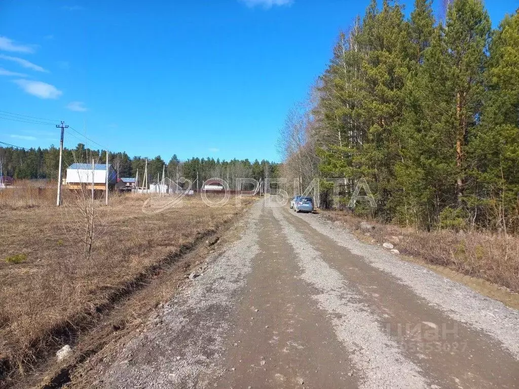 Участок в Тюменская область, Нижнетавдинский район, с. Тюнево ул. ... - Фото 0