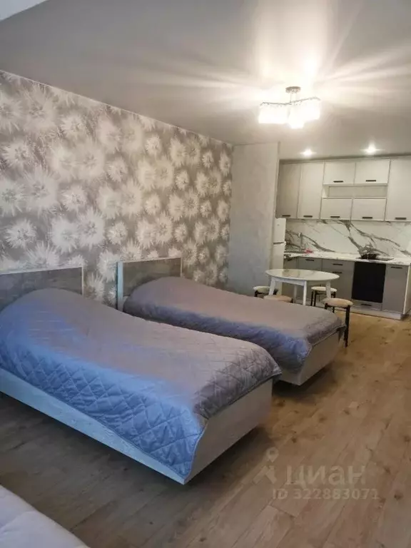 1-к кв. Нижегородская область, с. Дивеево ул. Симанина, 14 (37.0 м) - Фото 2