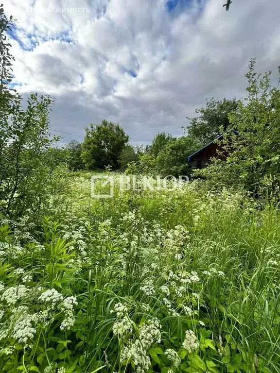 Участок в Кострома, садоводческое товарищество Текстильщик-2, 85 (8.5 ... - Фото 0