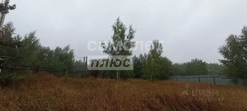 Участок в Марий Эл, Звениговский район, Кокшайское с/пос, д. Семеновка ... - Фото 1