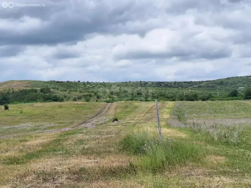 Участок в село Плиево, Лесная улица (20 м) - Фото 2