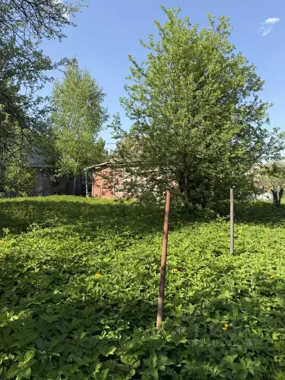 Дом в Московская область, Орехово-Зуевский городской округ, Березка ... - Фото 2