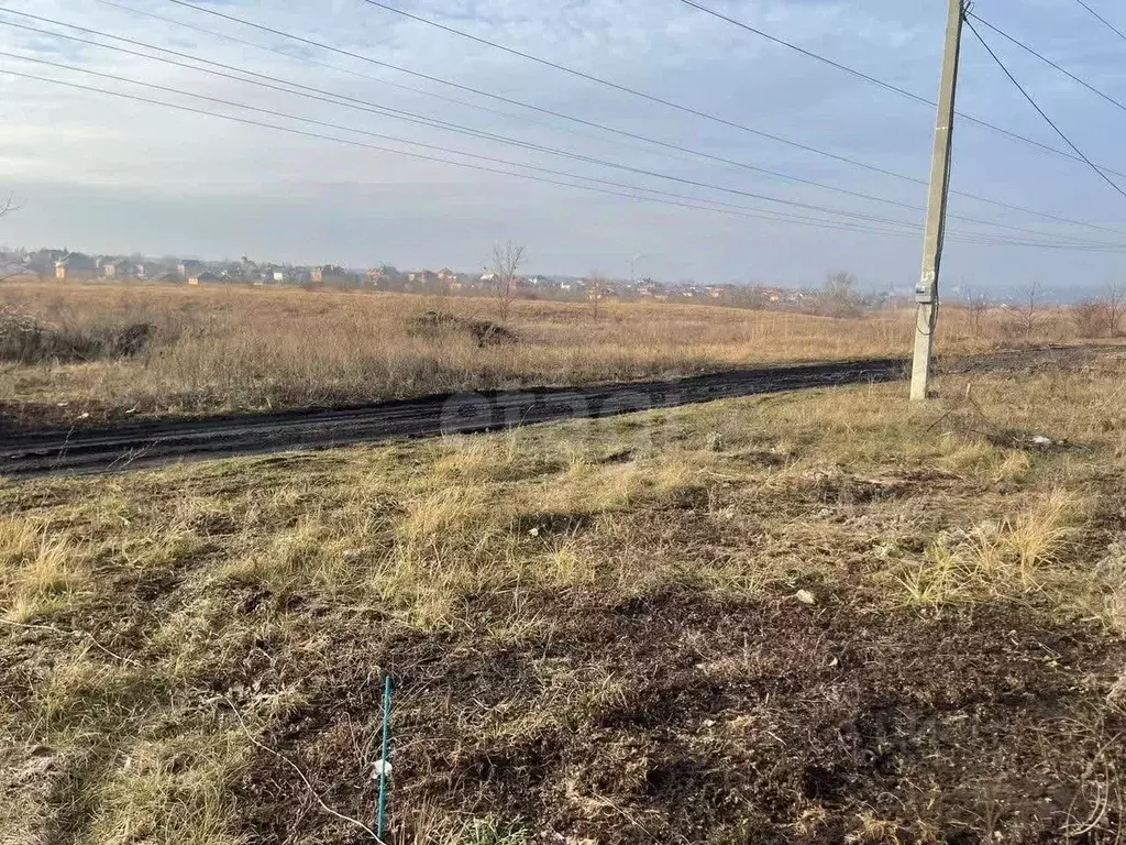 Участок в Ростовская область, Ростов-на-Дону Луч садовое товарищество, ... - Фото 1