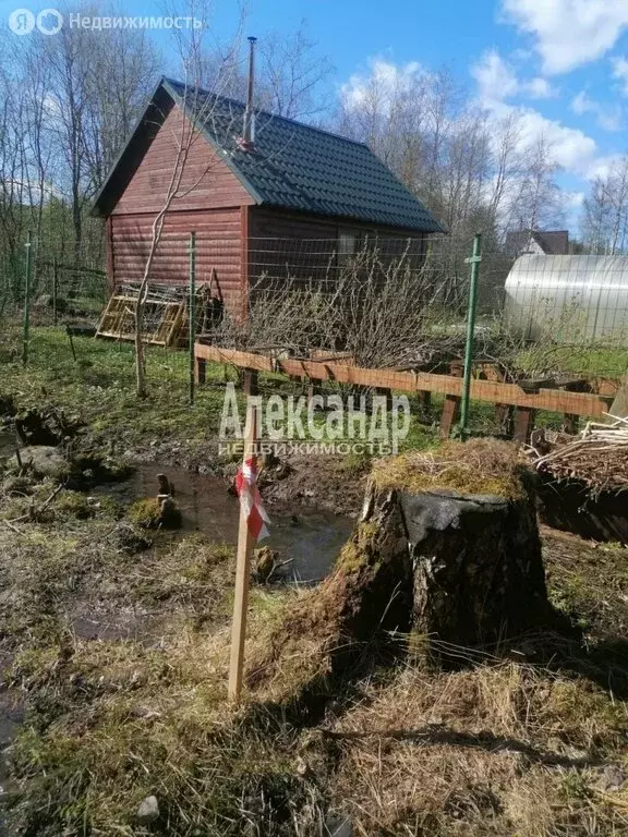 Участок в Приозерский район, Петровское сельское поселение, деревня ... - Фото 1