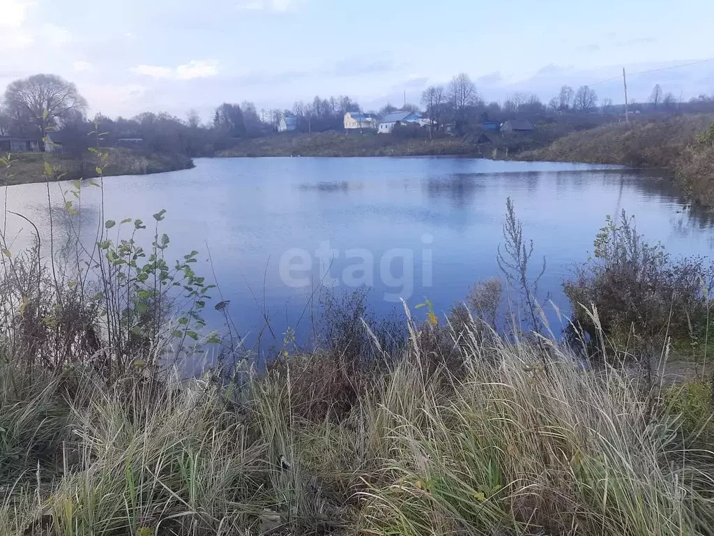 Участок в Калужская область, Тарусский муниципальный округ, Похвиснево ... - Фото 1