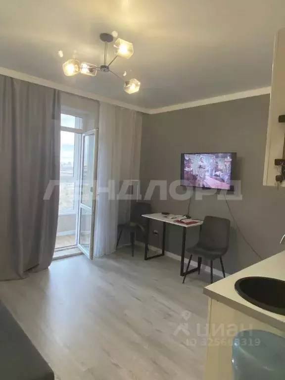 Студия Ростовская область, Ростов-на-Дону пер. Чаленко, 7с1 (22.3 м) - Фото 2