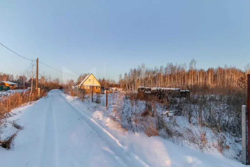 Участок в Тюменская область, Нижнетавдинский район, Строитель ТСН ул. ... - Фото 1