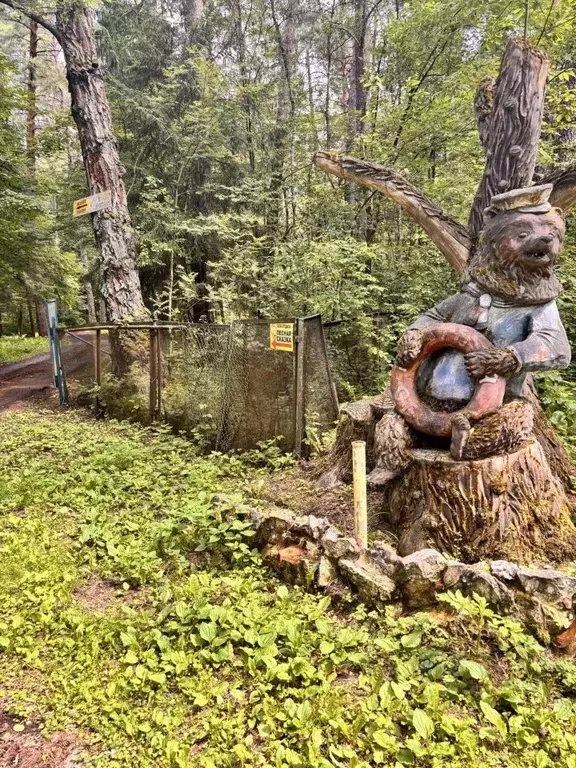 Участок в Калужская область, Тарусский муниципальный округ, Лопатино ... - Фото 1