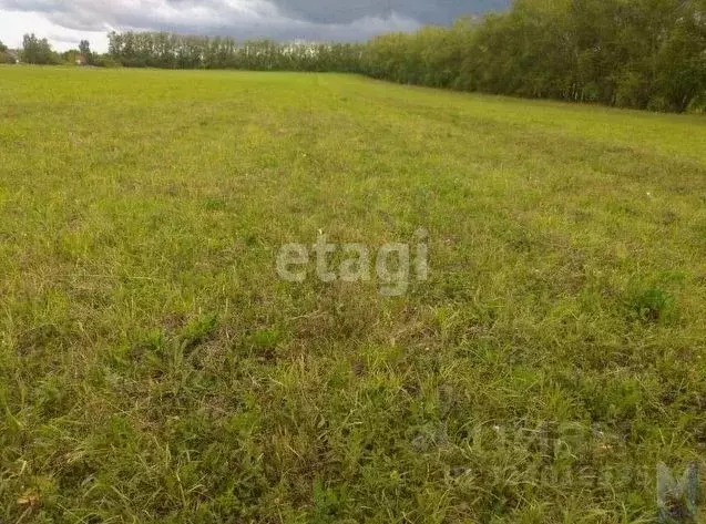 Участок в Мордовия, Саранск  (10.0 сот.) - Фото 1