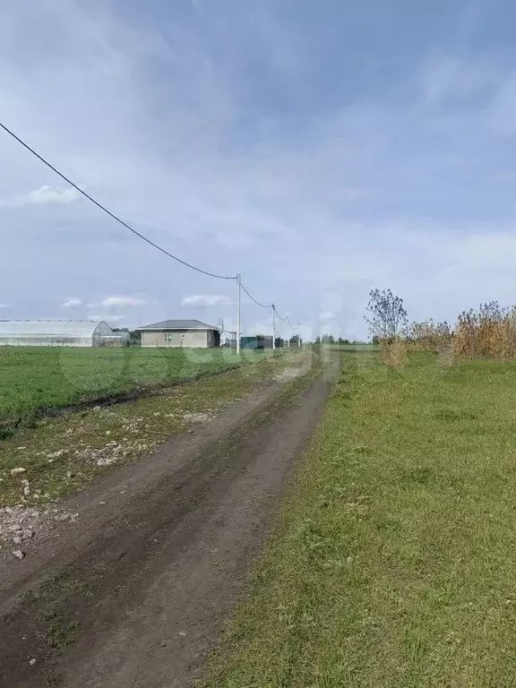 Участок 6,9 сот. (СНТ, ДНП) - Фото 1