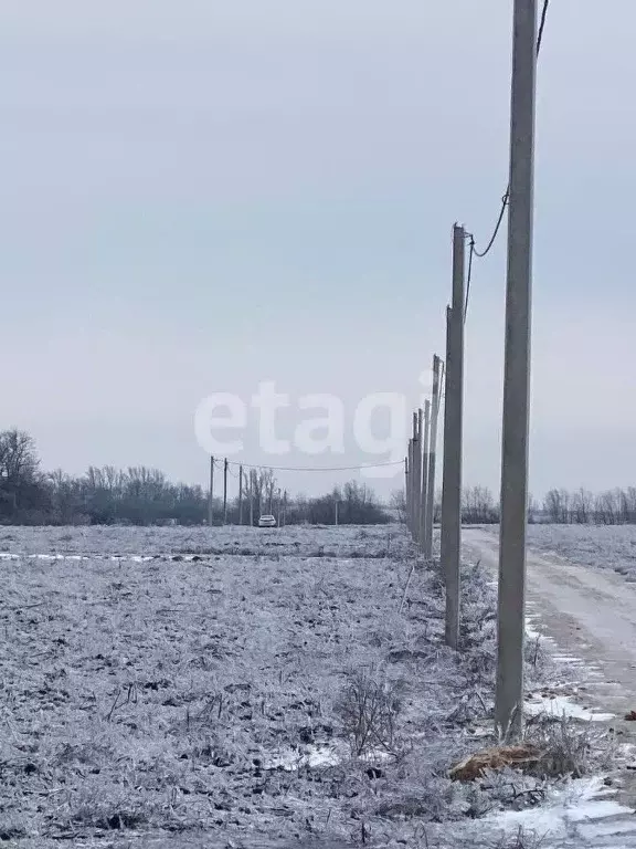 Участок в Ростовская область, Мясниковский район, Краснокрымское ... - Фото 0