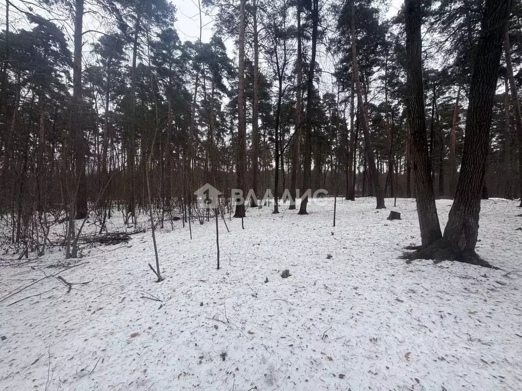 Участок в Московская область, Одинцовский городской округ, Серебряные ... - Фото 1