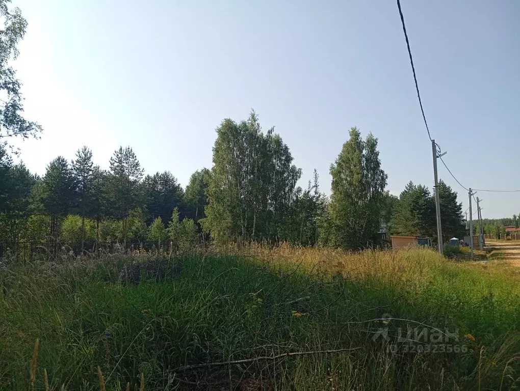 Участок в Ярославская область, Рыбинский муниципальный округ, ... - Фото 1