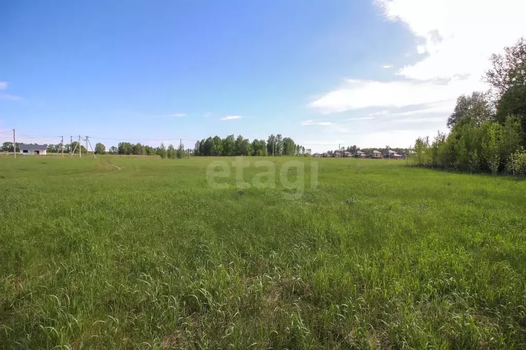 Участок в Алтайский край, Первомайский район, с. Фирсово, Полесье мкр  ... - Фото 1