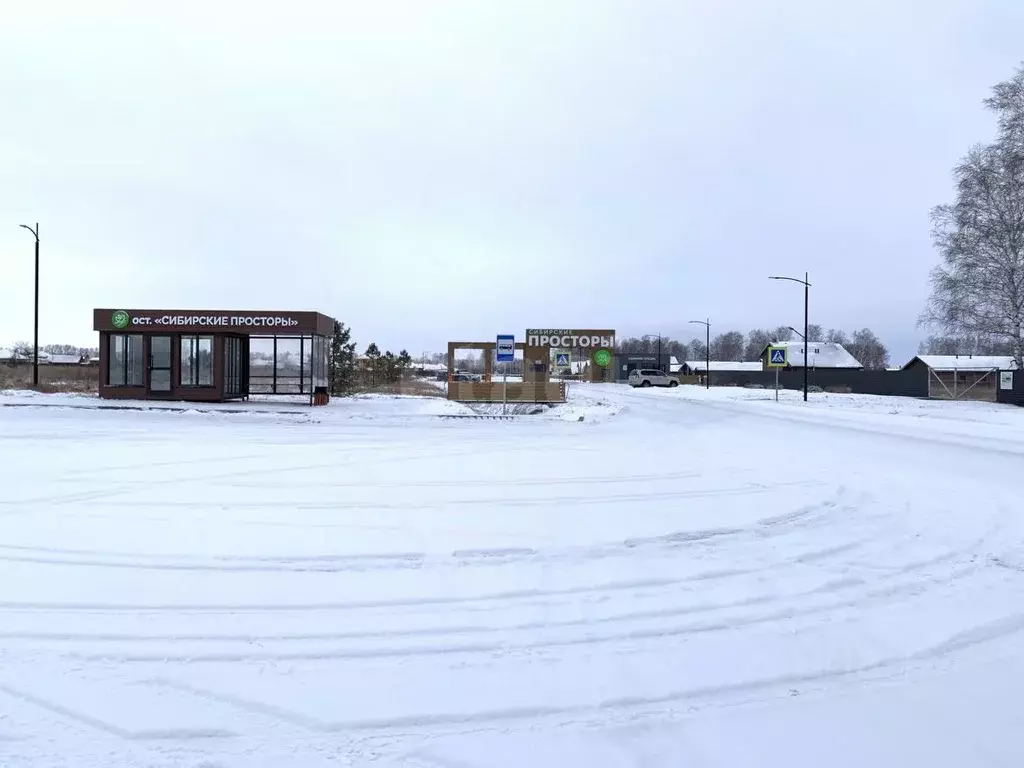 Участок в Новосибирская область, Новосибирский район, Сибирские ... - Фото 2