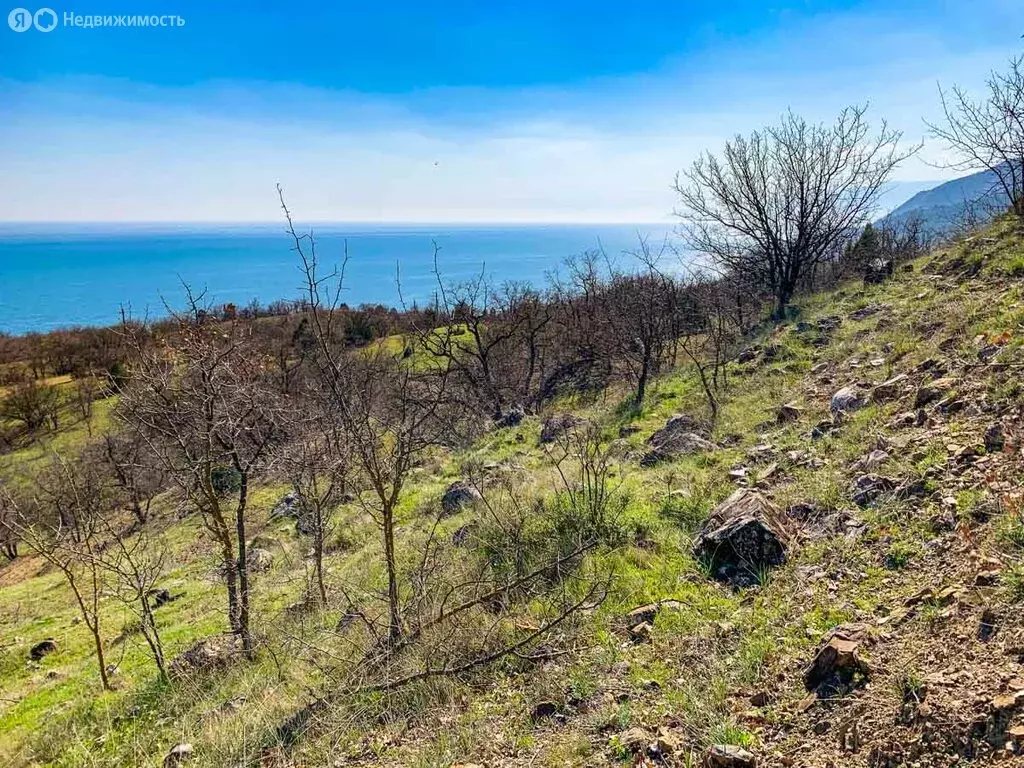 Участок в Республика Крым, муниципальный округ Алушта, село Приветное ... - Фото 1