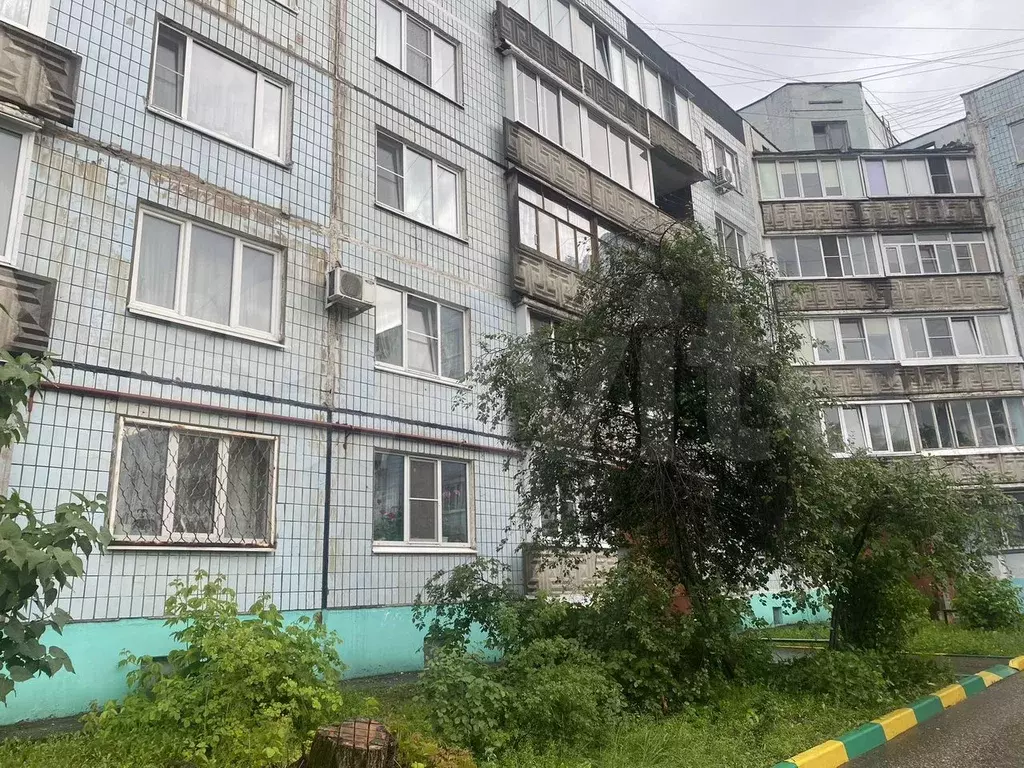 3-к. квартира, 66,6 м, 4/5 эт. - Фото 1