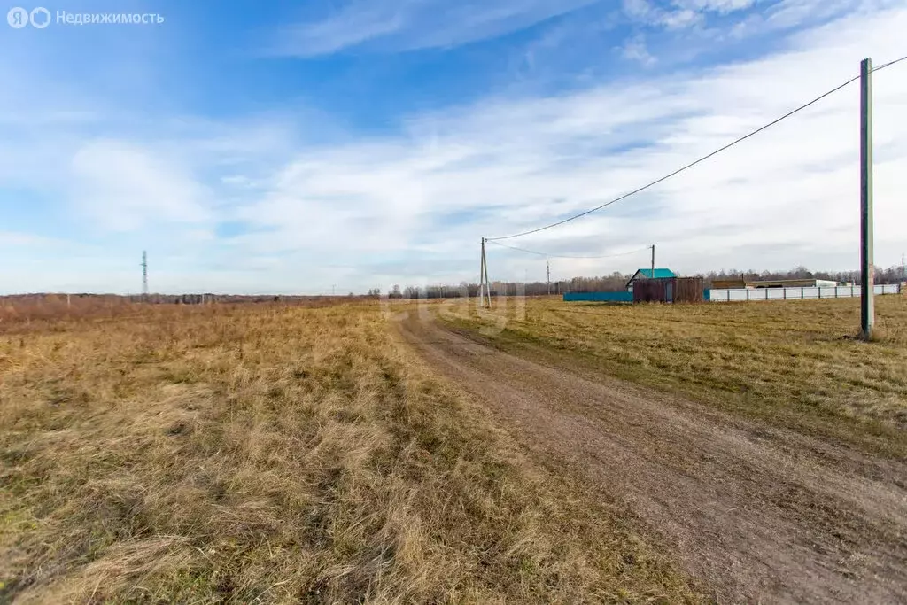 Участок в Вагайский район, деревня Кобякская (50 м) - Фото 1