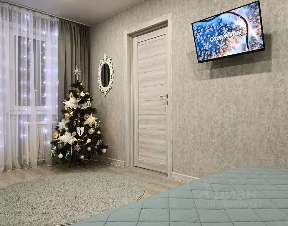 2-к кв. Псковская область, Псков Ольгинская наб., 9 (44.0 м) - Фото 2