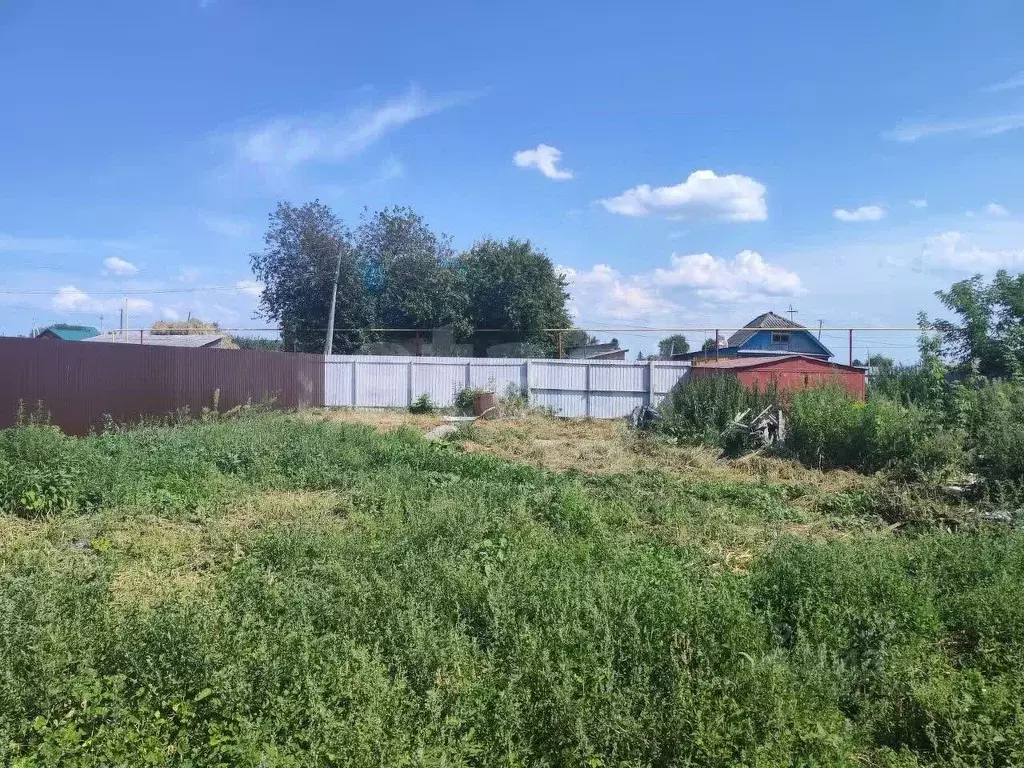 Участок в Новосибирская область, Колывань рп ул. Западная (7.34 сот.) - Фото 2