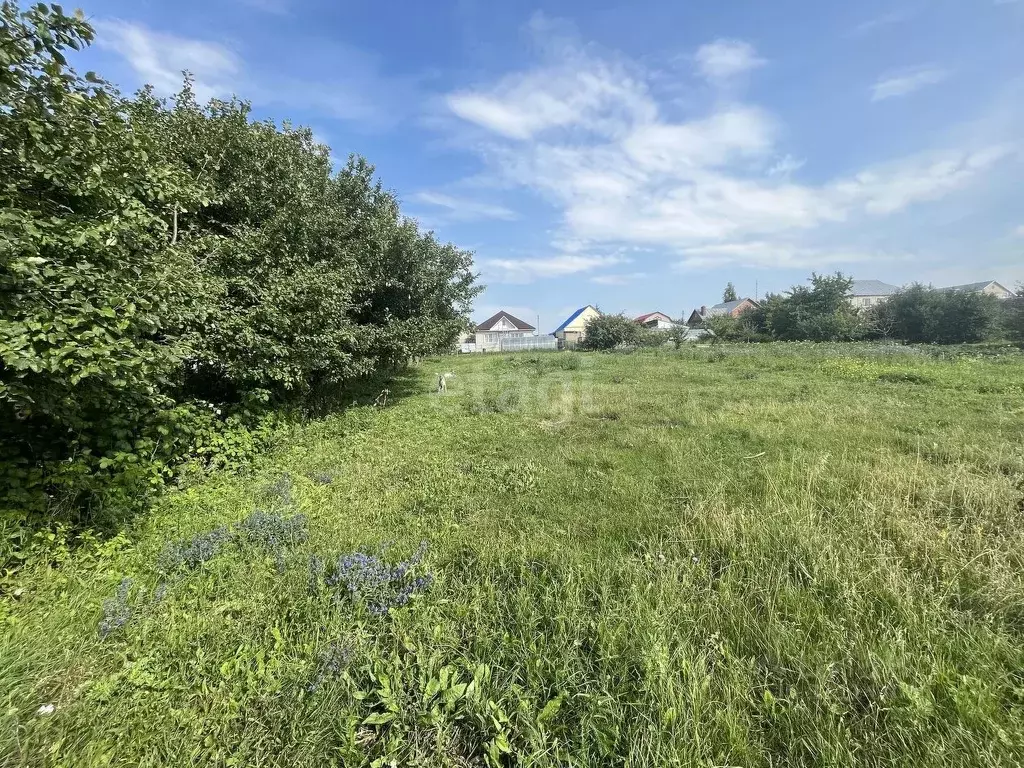 Участок в Липецкая область, Липецкий муниципальный округ, с. ... - Фото 1