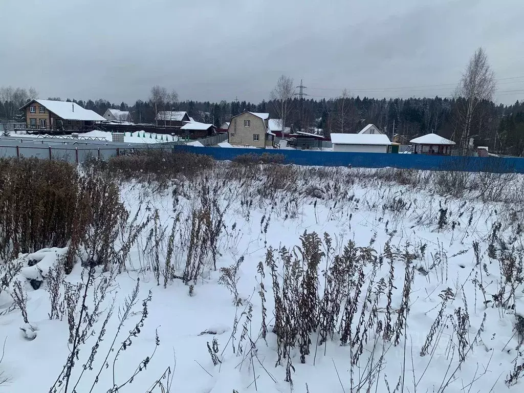 Участок в Московская область, Солнечногорск городской округ, д. ... - Фото 1