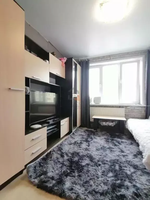 Студия Кировская область, Киров Заводская ул., 4 (23.9 м) - Фото 2