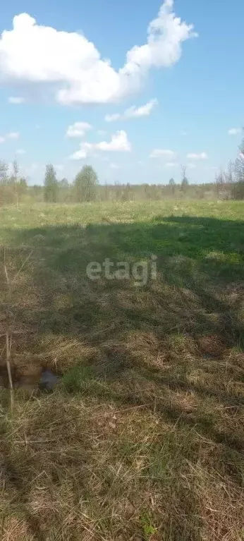 Участок в Псковская область, Островский район, Воронцовская волость, ... - Фото 1