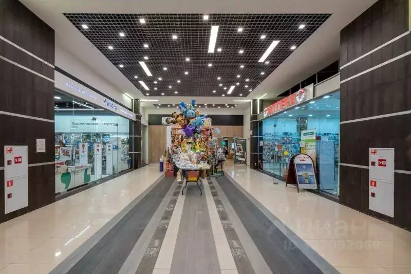 Торговая площадь в Санкт-Петербург просп. Малый Васильевского острова, ... - Фото 2