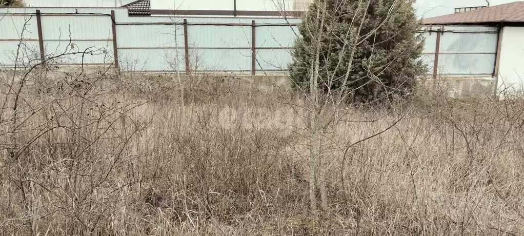 Участок в Краснодарский край, Новороссийск городской округ, с. Южная ... - Фото 1