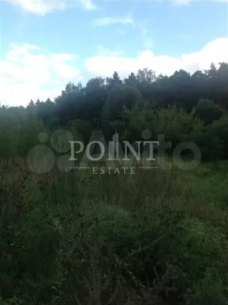 Участок 30сот. (ИЖС) - Фото 0