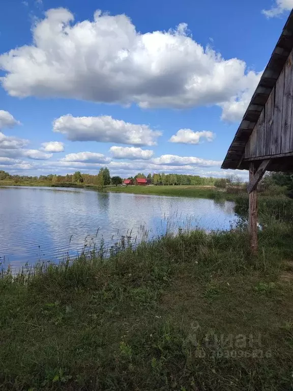 Участок в Брянская область, Навлинский район, Бяковское с/пос  (35.0 ... - Фото 0