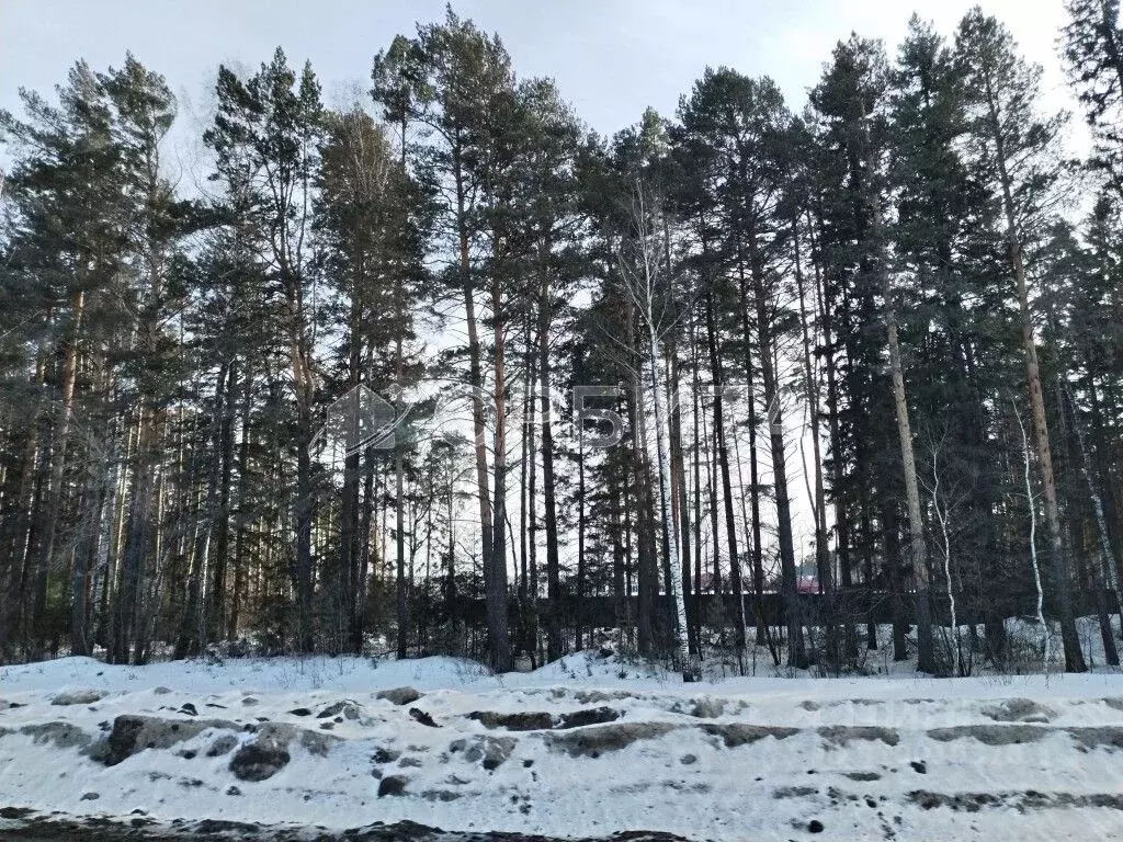 Участок в Тюменская область, Тюменский район, д. Зубарева  (25.75 ... - Фото 0