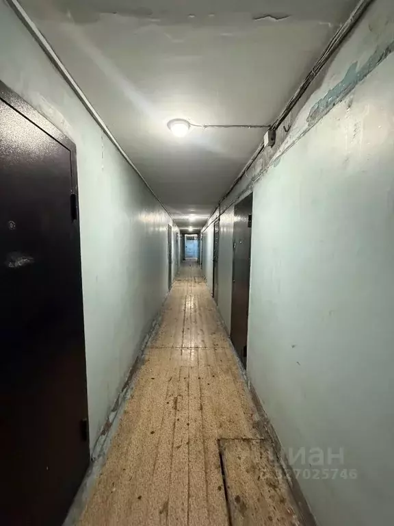 1-к кв. Иркутская область, Братск Парковая ул., 10 (17.4 м) - Фото 2